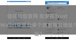 信任钱包官网 如安在Trust Wallet中惩处多个加密钱包地址？